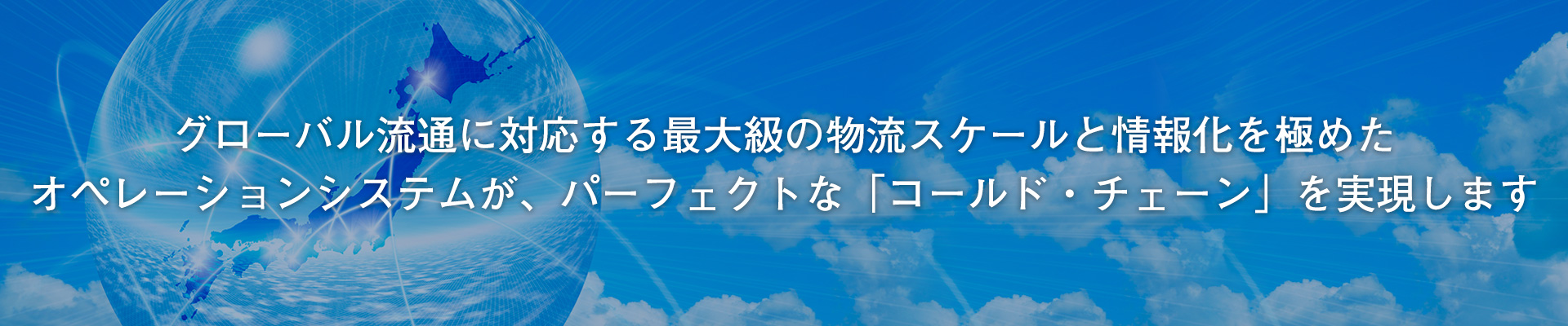 グローバル流通に対応する最大級の物流スケールと情報化を極めたオペレーションシステムが、パーフェクトな「コールド・チェーン」を実現します