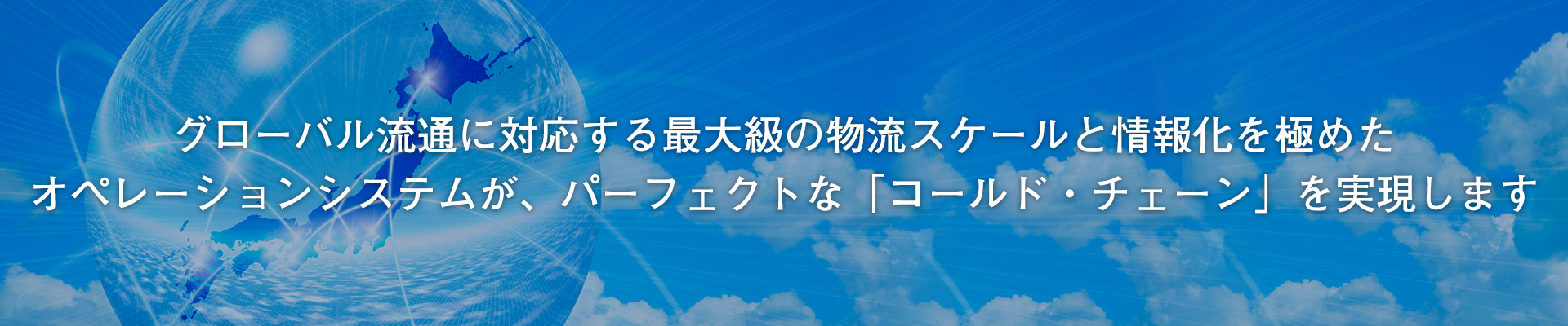 グローバル流通に対応する最大級の物流スケールと情報化を極めたオペレーションシステムが、パーフェクトな「コールド・チェーン」を実現します グローバル流通に対応する最大級の物流スケールと情報化を極めたオペレーションシステムが、パーフェクトな「コールド・チェーン」を実現します